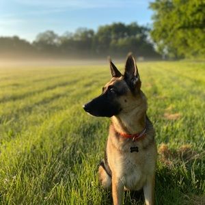 Meet your Posher, Lindsey